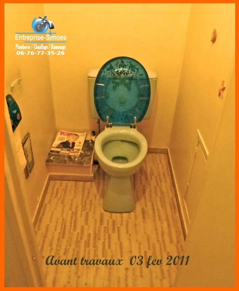 WC avant travaux de remplacement